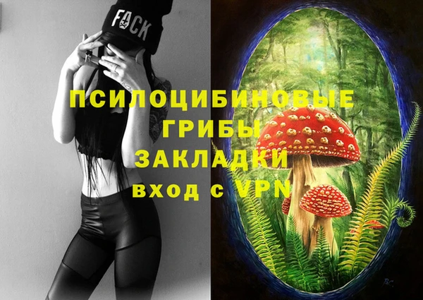 МДПВ Алексин