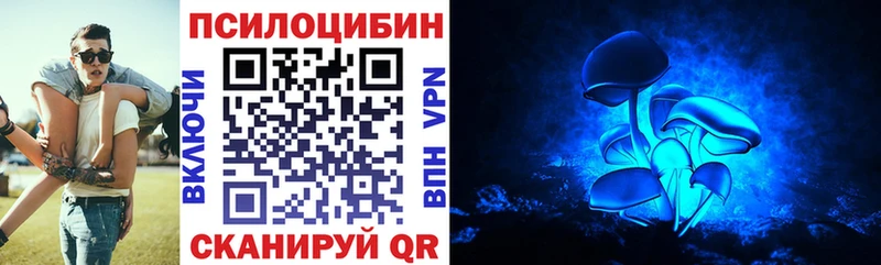 дарнет шоп  блэк спрут ссылки  Псилоцибиновые грибы Psilocybe  это какой сайт  Еманжелинск 