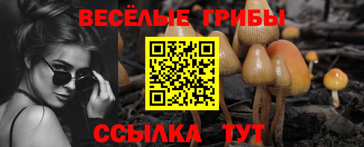 Еманжелинск  закладки  Псилоцибиновые грибы Psilocybine cubensis  Вход с VPN  Псилоцибиновые грибы MAGIC MUSHROOMS 